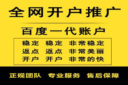 成功SEM托管代运营案例分析
